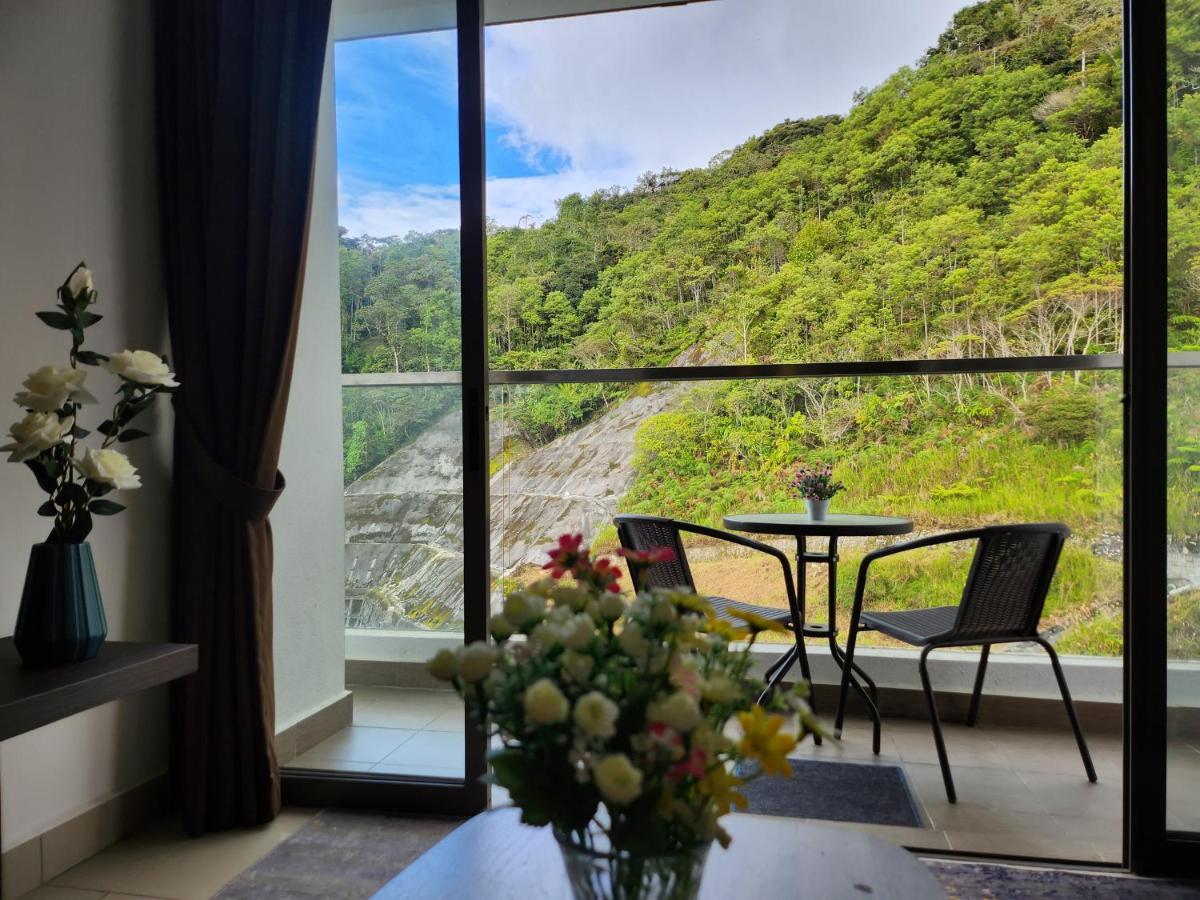 Relax Bear Tanah Rata